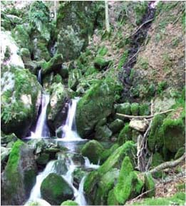 FIUMARELLA DI ROSSALE